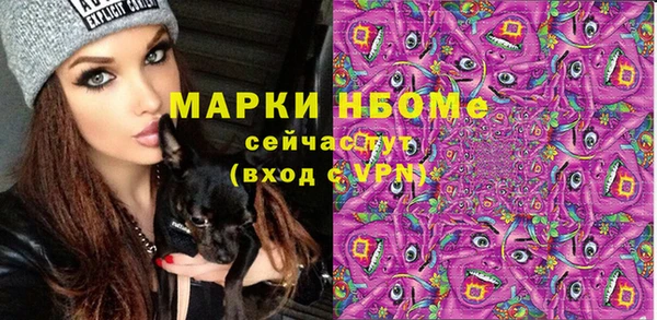 бошки Бронницы